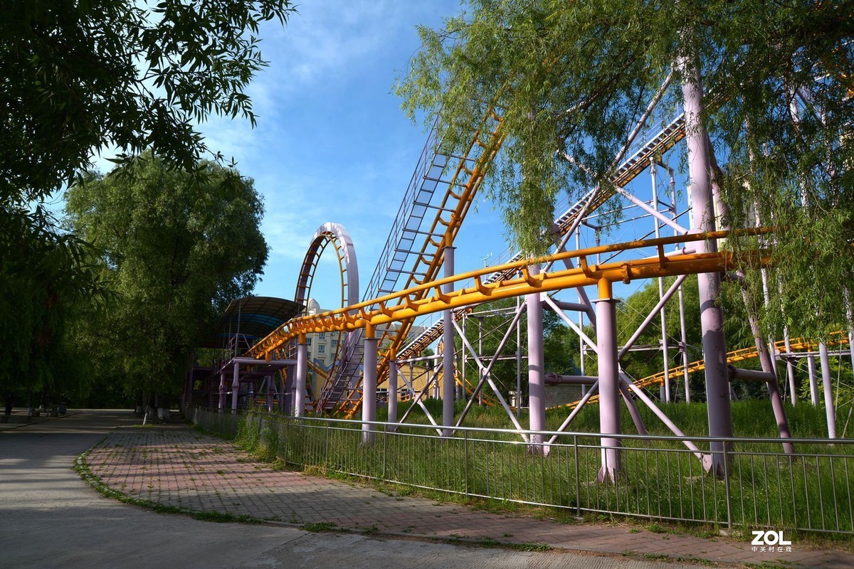 公园闲拍——小景（完）