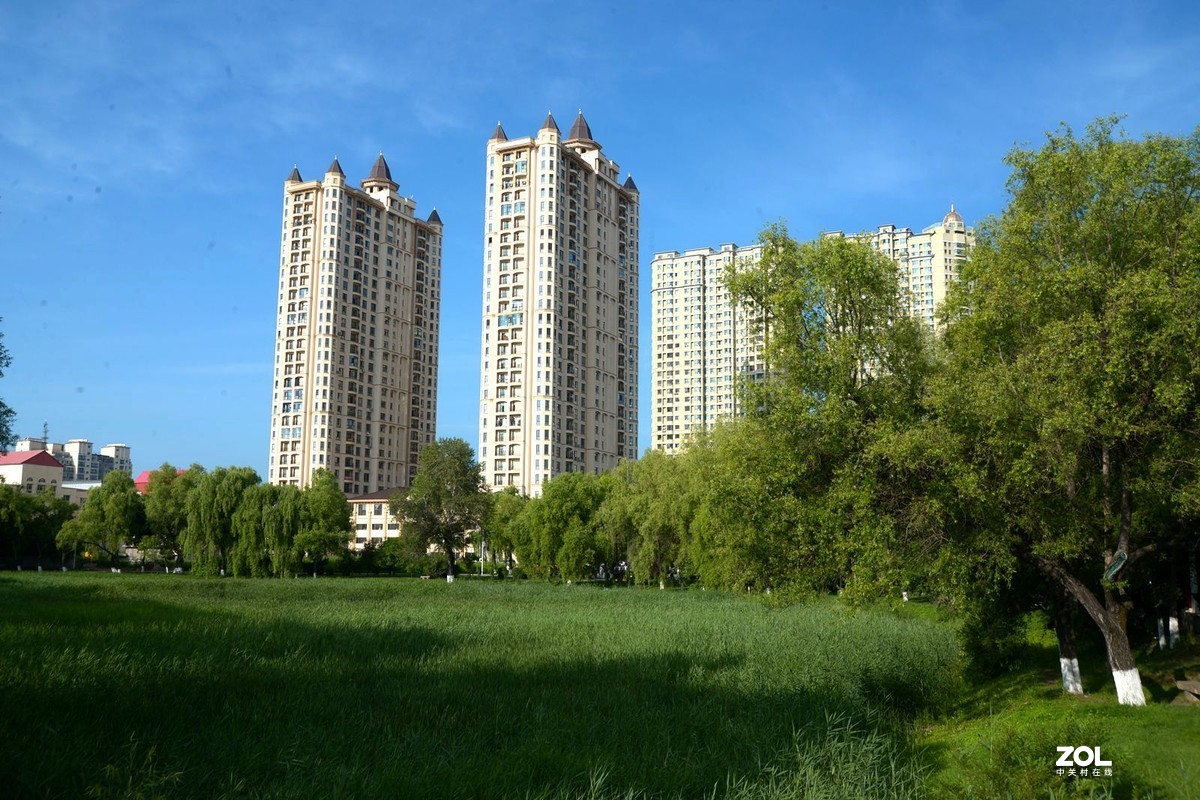 公园闲拍——小景（完）