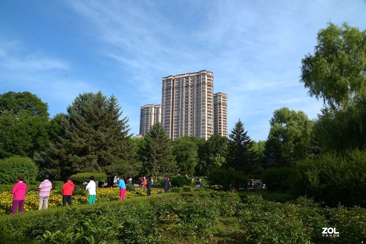 公园闲拍——小景（完）