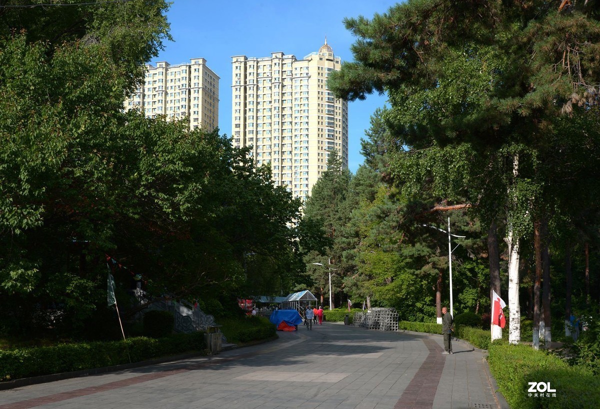 公园闲拍——小景（完）