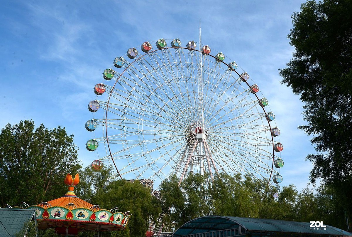 公园闲拍——小景（完）