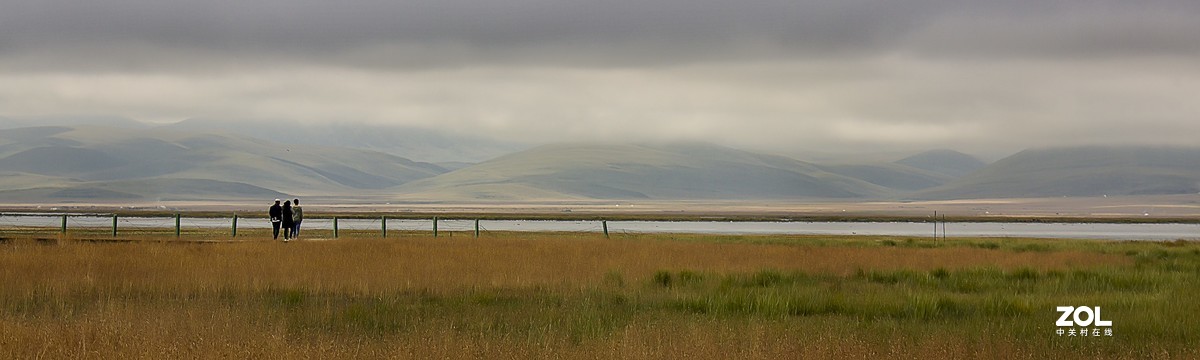 自驾甘南青海八天 第四站 尕海湿地