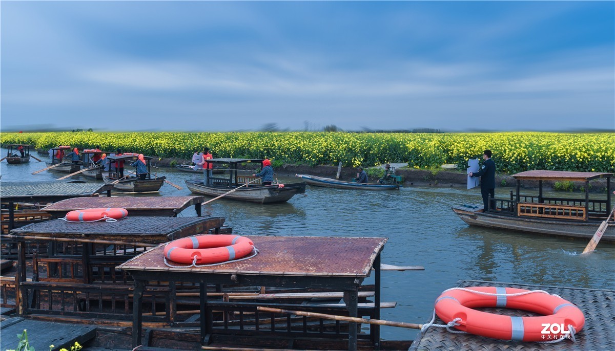 兴化的油菜地（今年暖春，三月中去就好了）