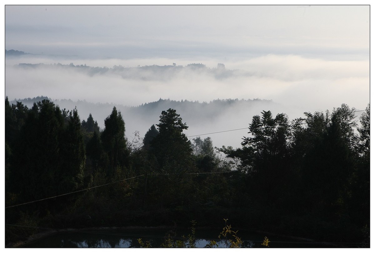 一头孤独的小牛