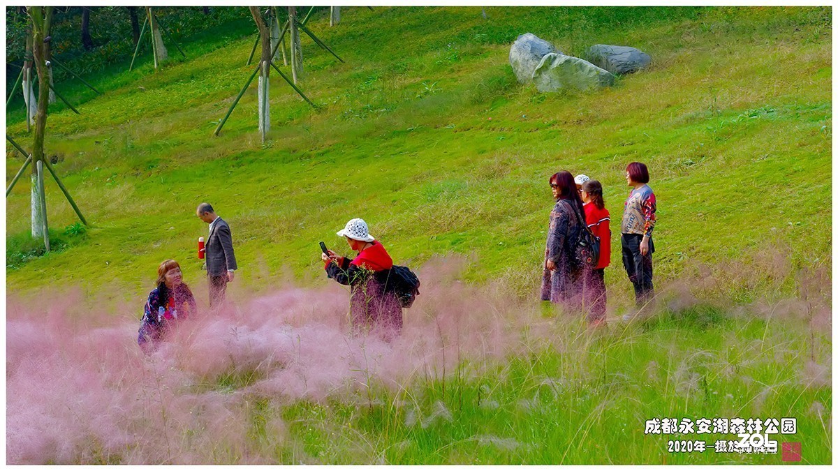 成都永安湖公园游记