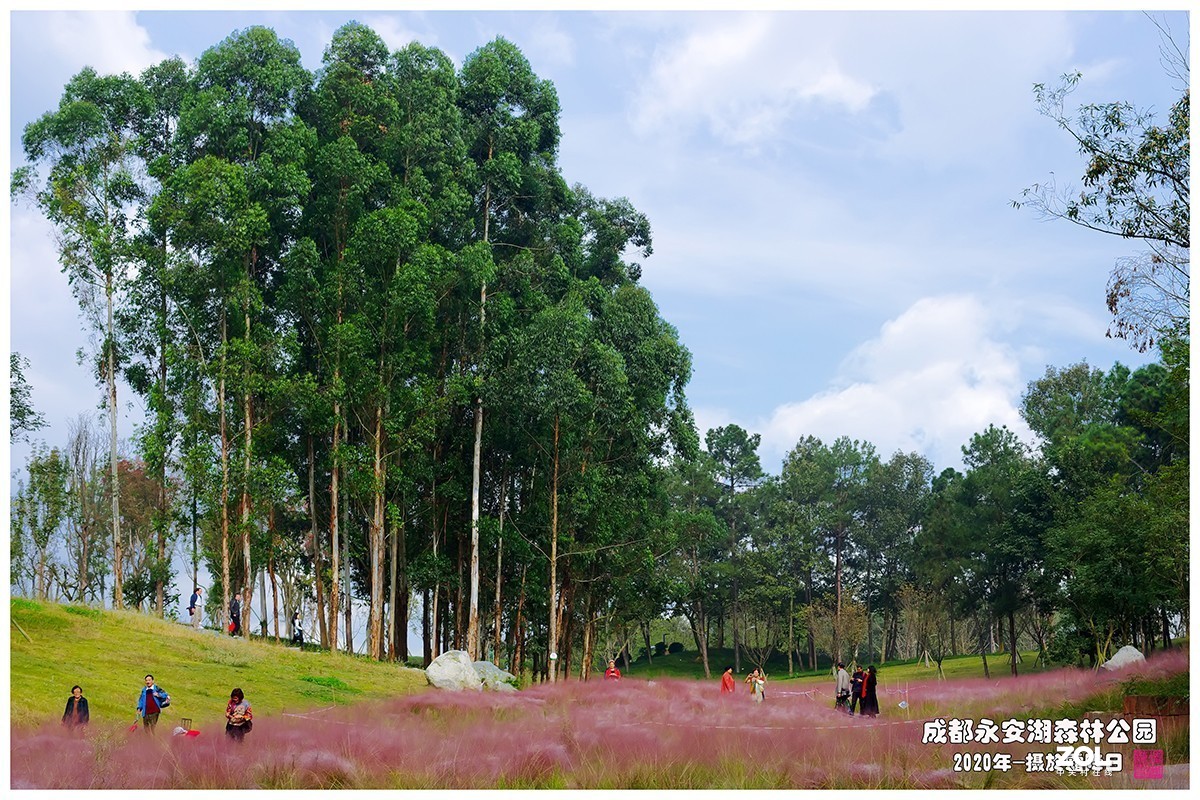 成都永安湖公园游记