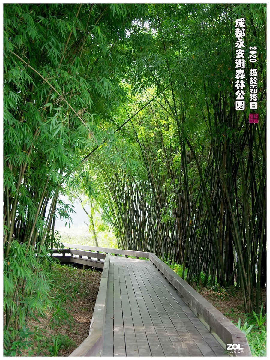 成都永安湖公园游记