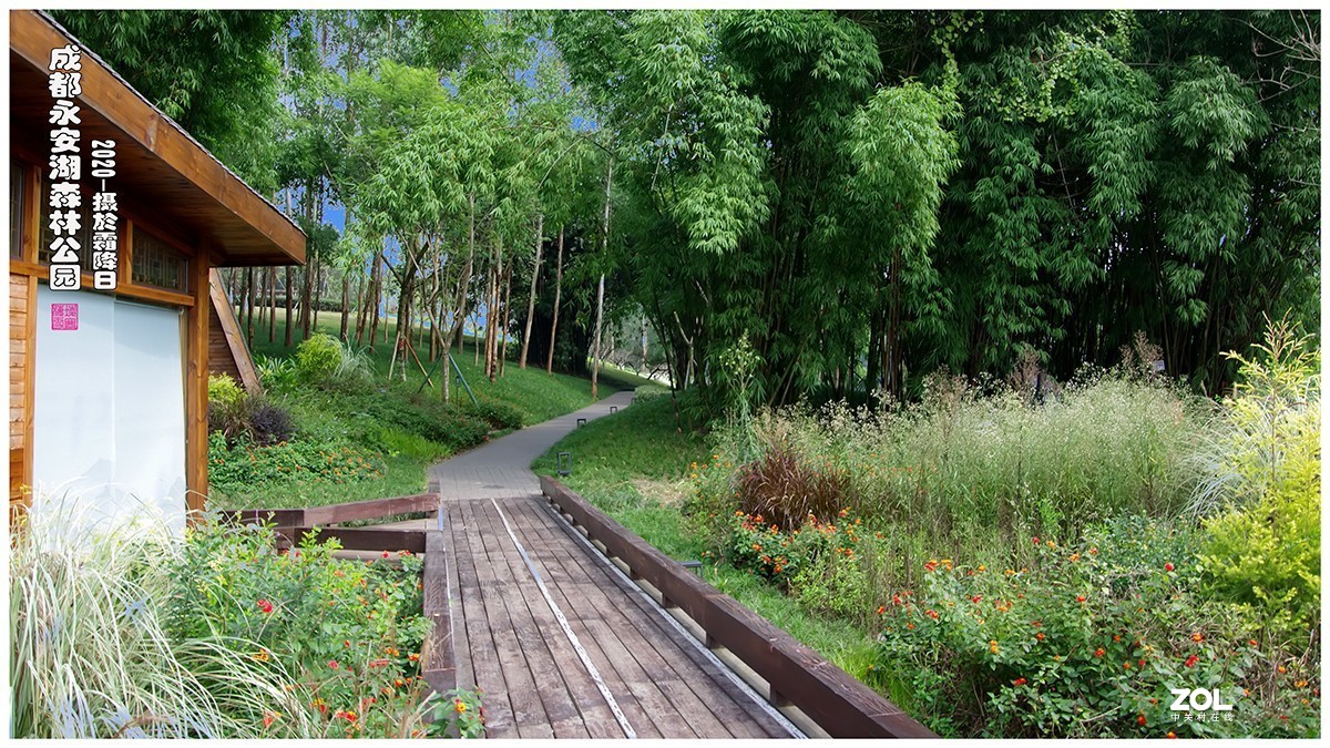 成都永安湖公园游记