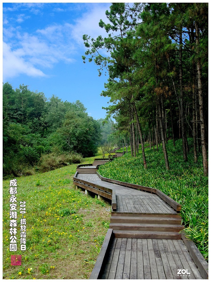 成都永安湖公园游记