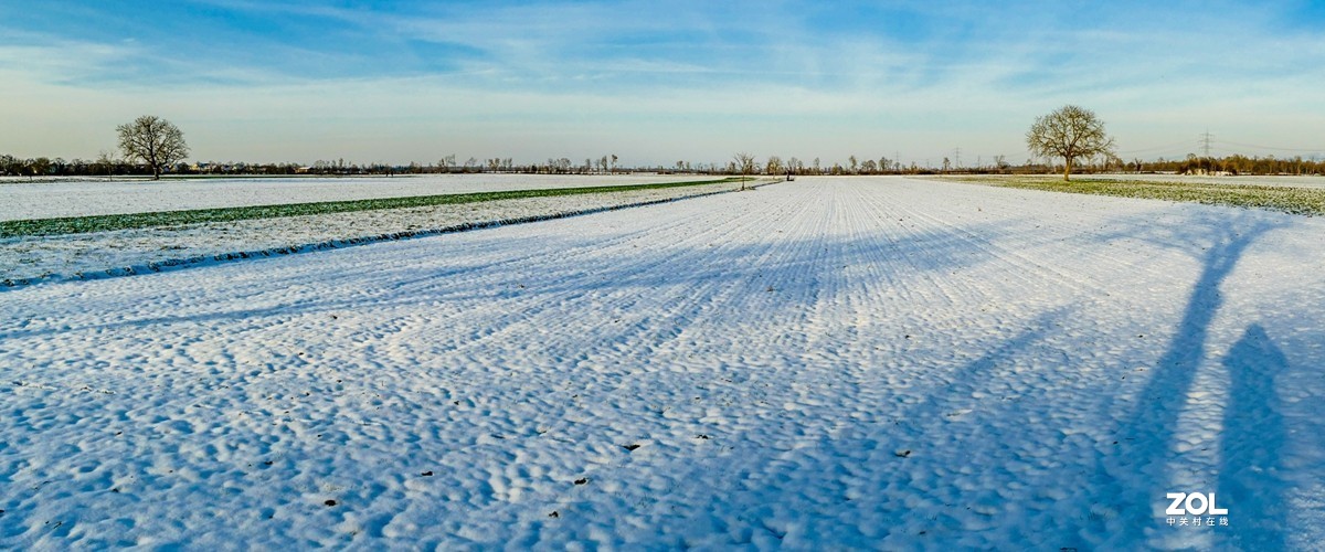 雪在原野--遥祝师友牛年吉祥!!