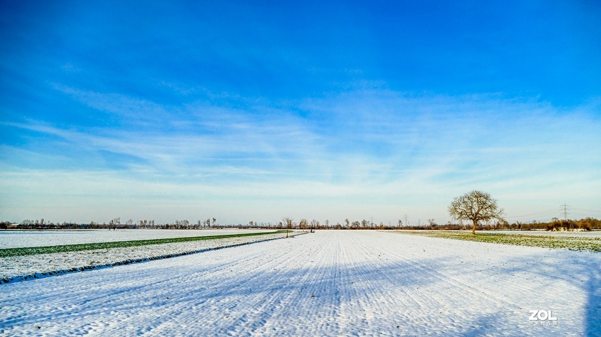 雪在原野--遥祝师友牛年吉祥!!