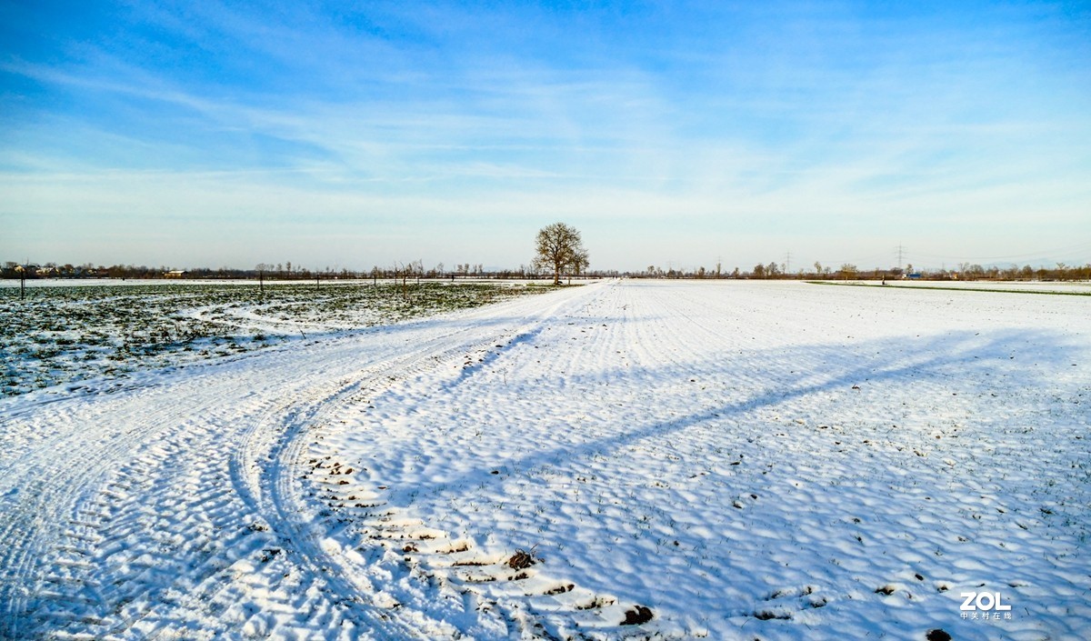 雪在原野--遥祝师友牛年吉祥!!