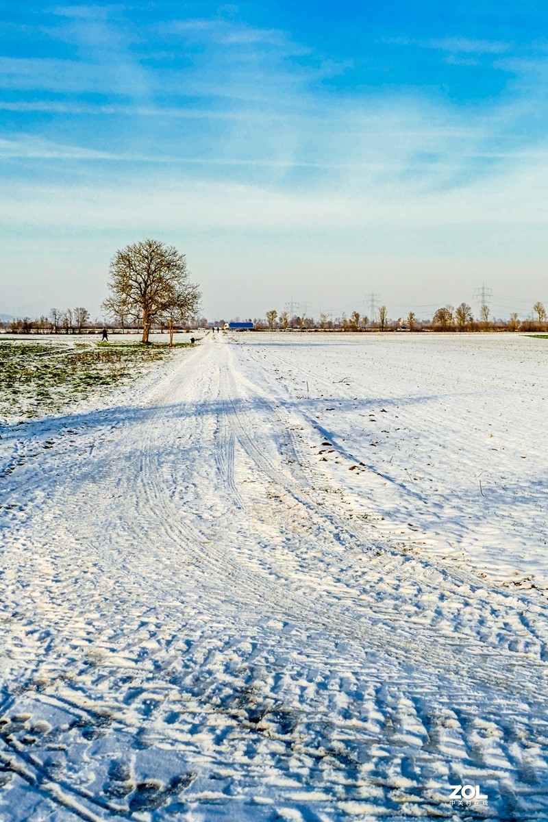雪在原野--遥祝师友牛年吉祥!!