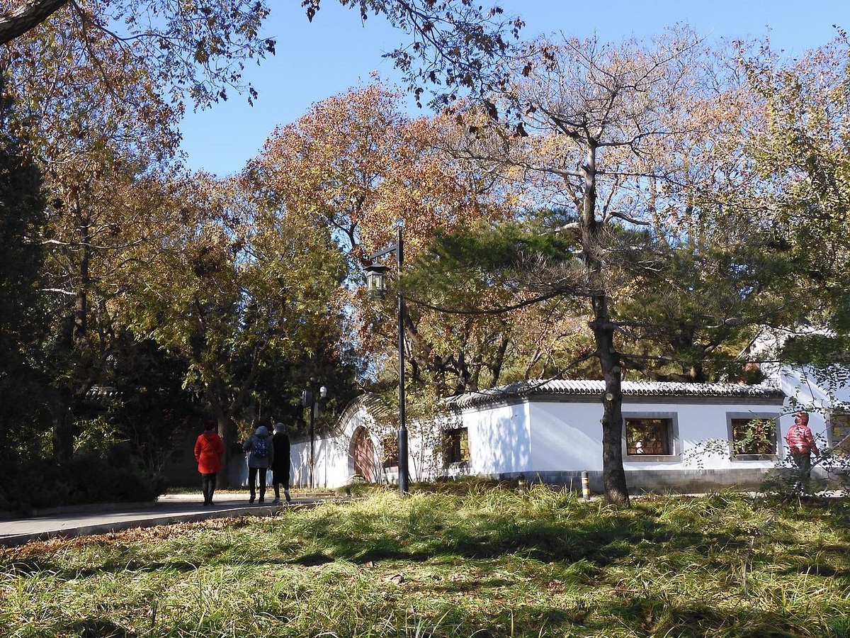 北京陶然亭公园-----秋 色