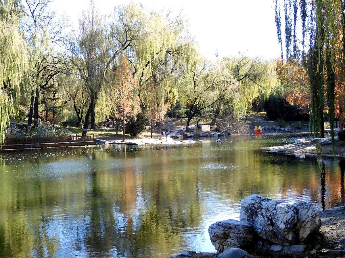 北京陶然亭公园-----秋 色