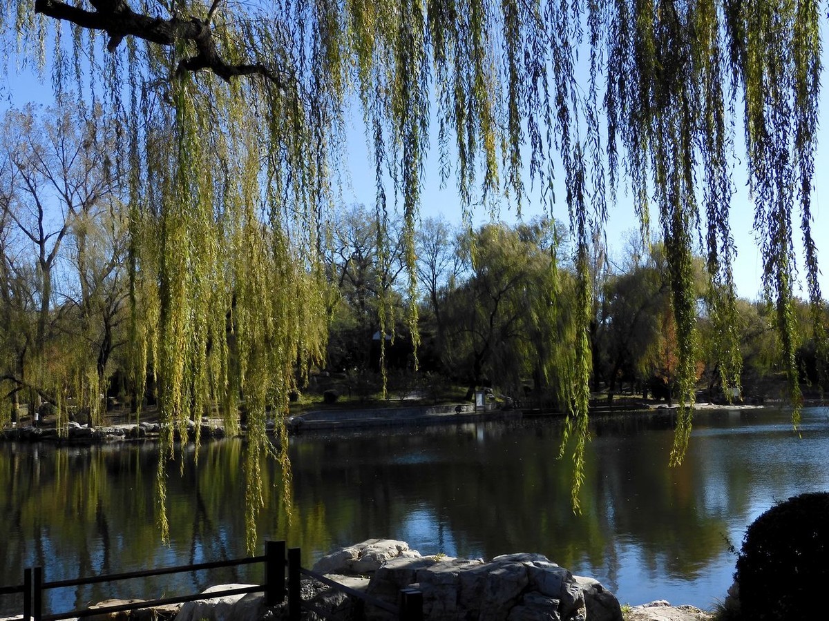 北京陶然亭公园-----秋 色