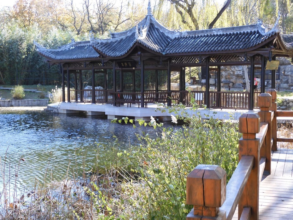 北京陶然亭公园-----秋 色