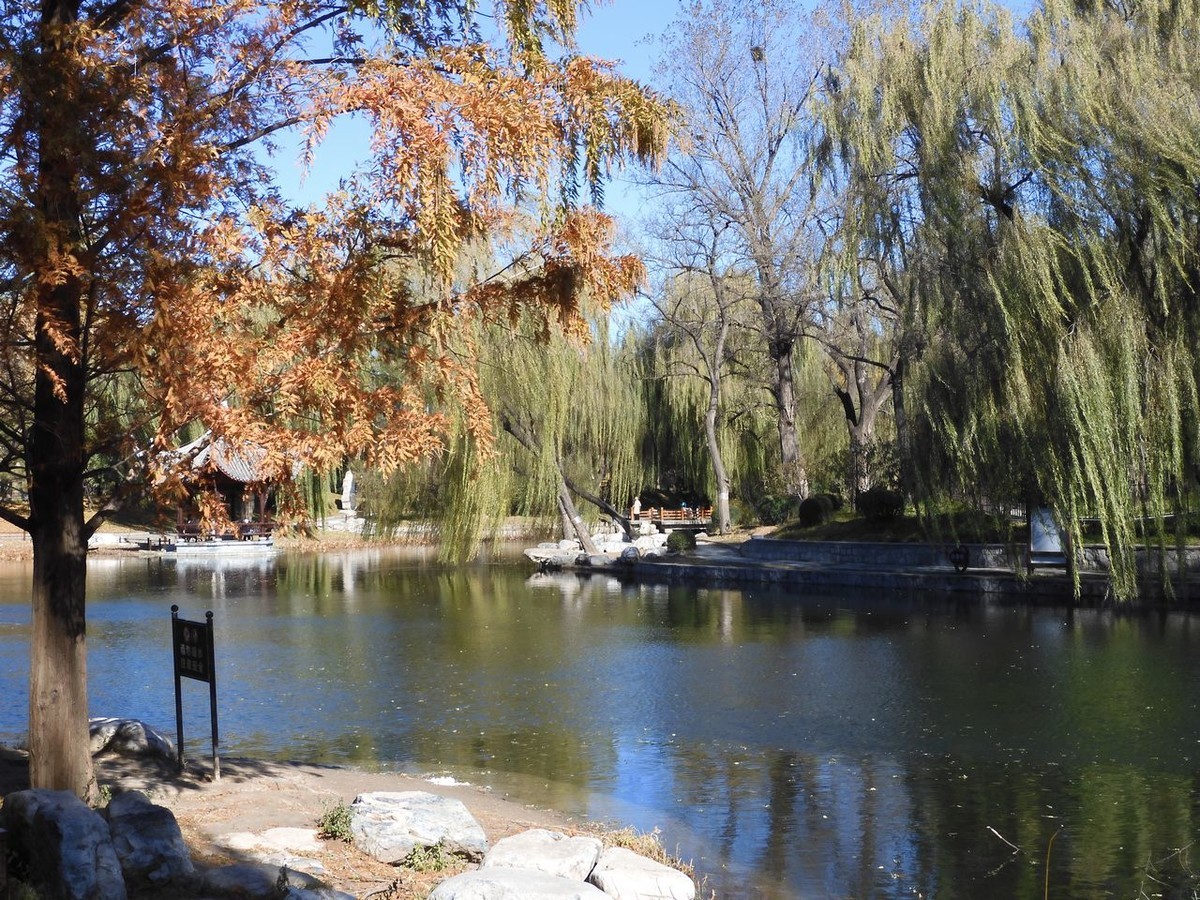 北京陶然亭公园-----秋 色