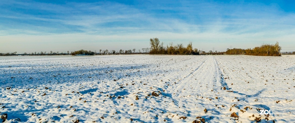 雪在原野--遥祝师友牛年吉祥!!