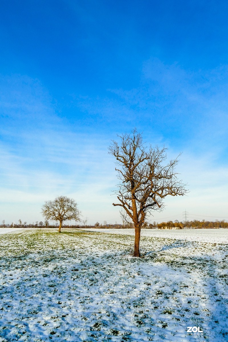 雪在原野--遥祝师友牛年吉祥!!