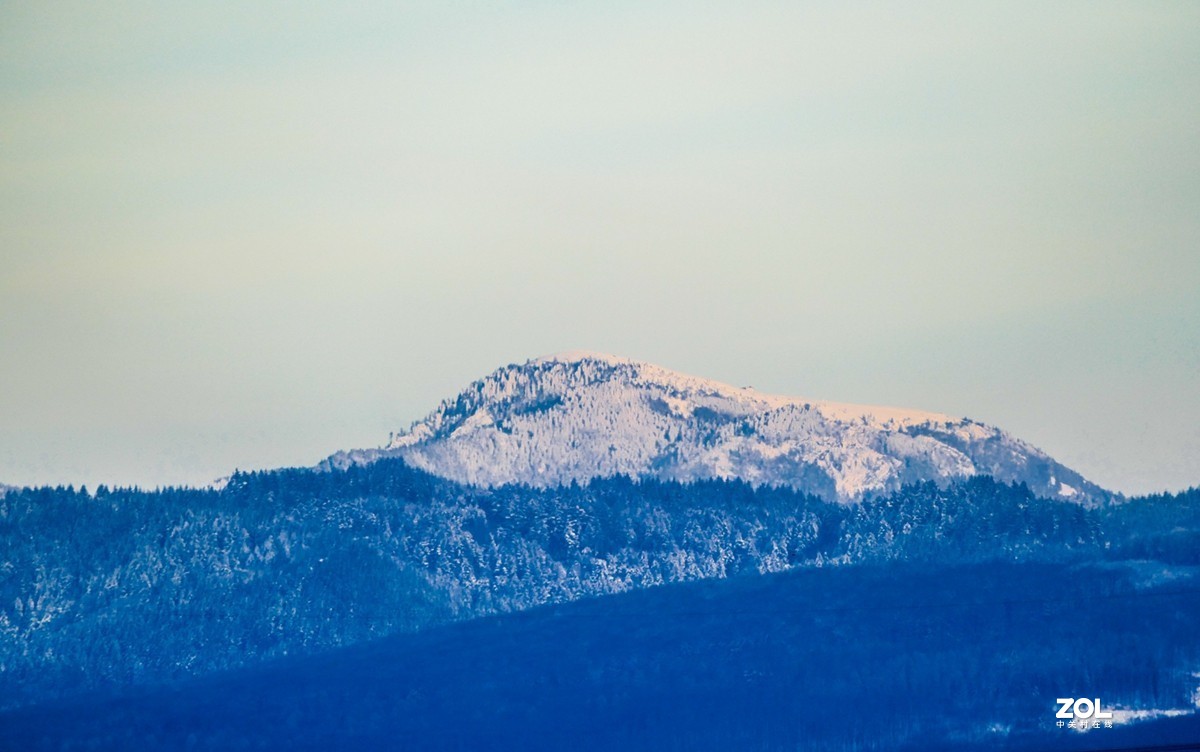 雪在原野--遥祝师友牛年吉祥!!