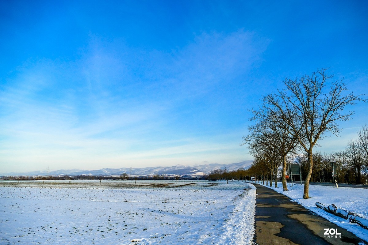 雪在原野--遥祝师友牛年吉祥!!