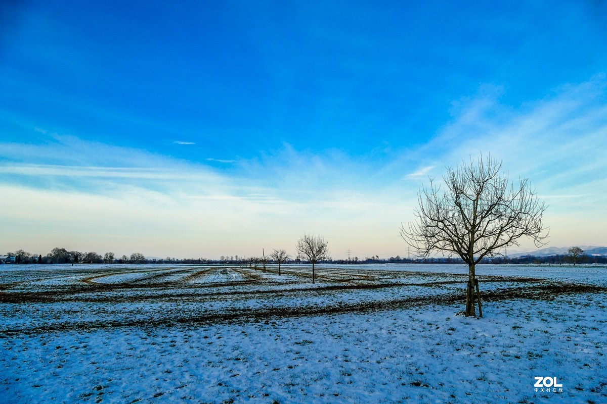 雪在原野--遥祝师友牛年吉祥!!