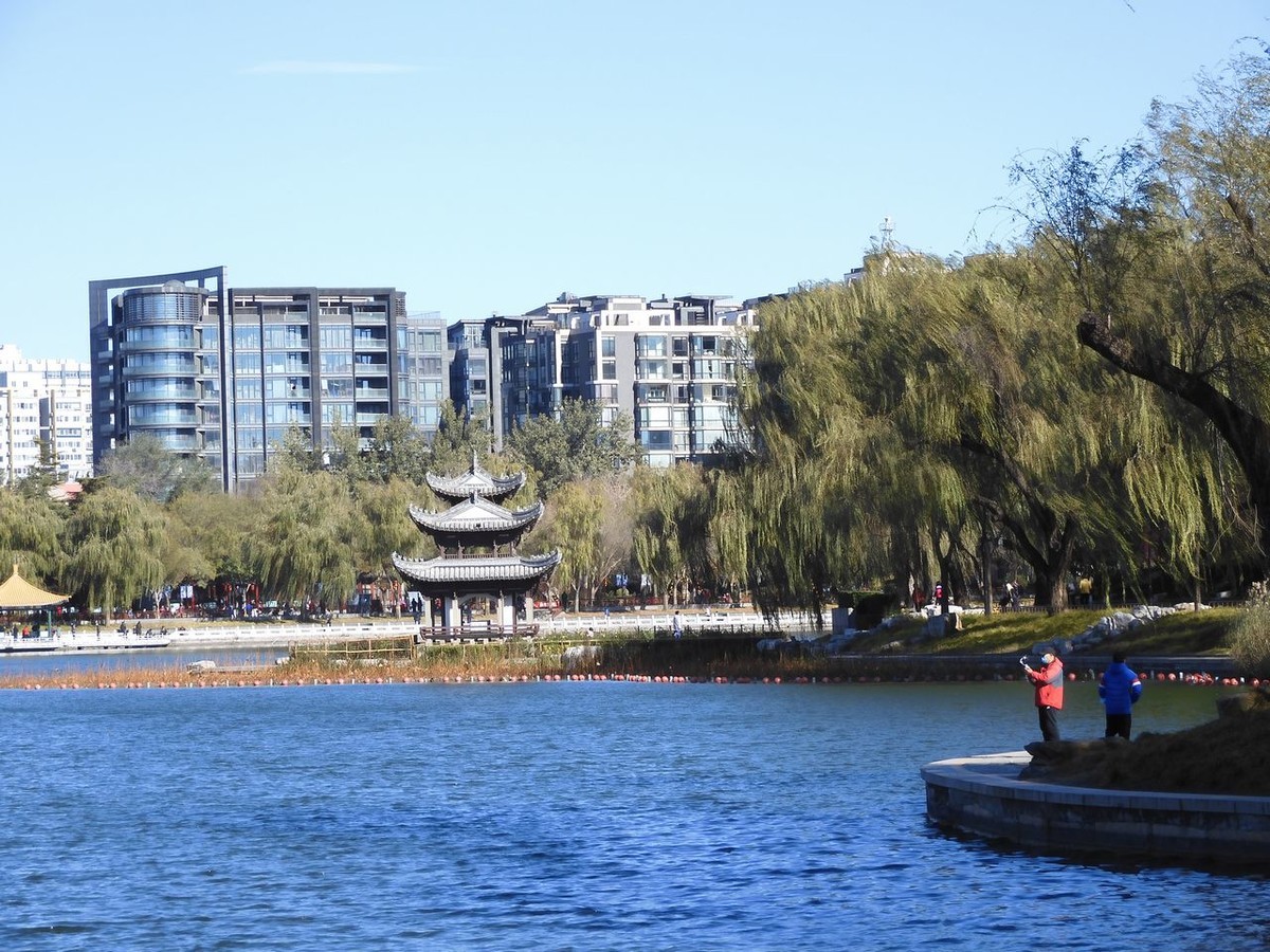 北京陶然亭公园-----秋 色