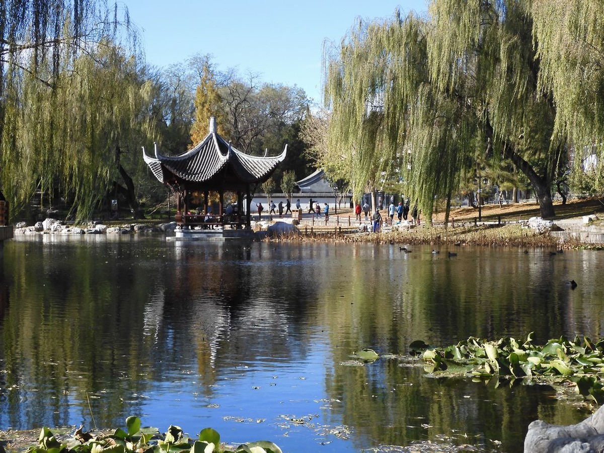 北京陶然亭公园-----秋 色