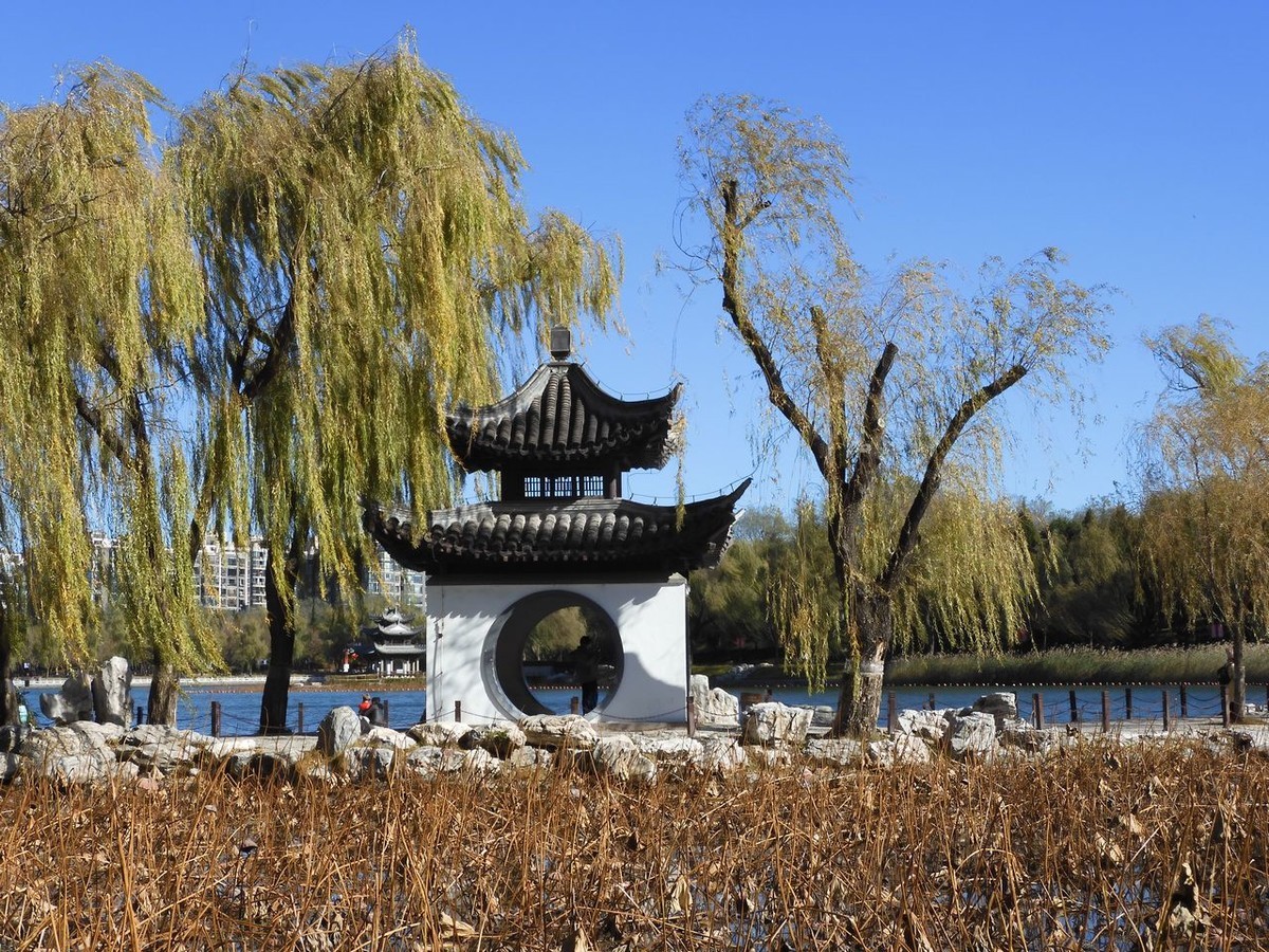 北京陶然亭公园-----秋 色