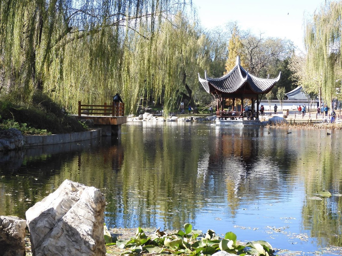 北京陶然亭公园-----秋 色