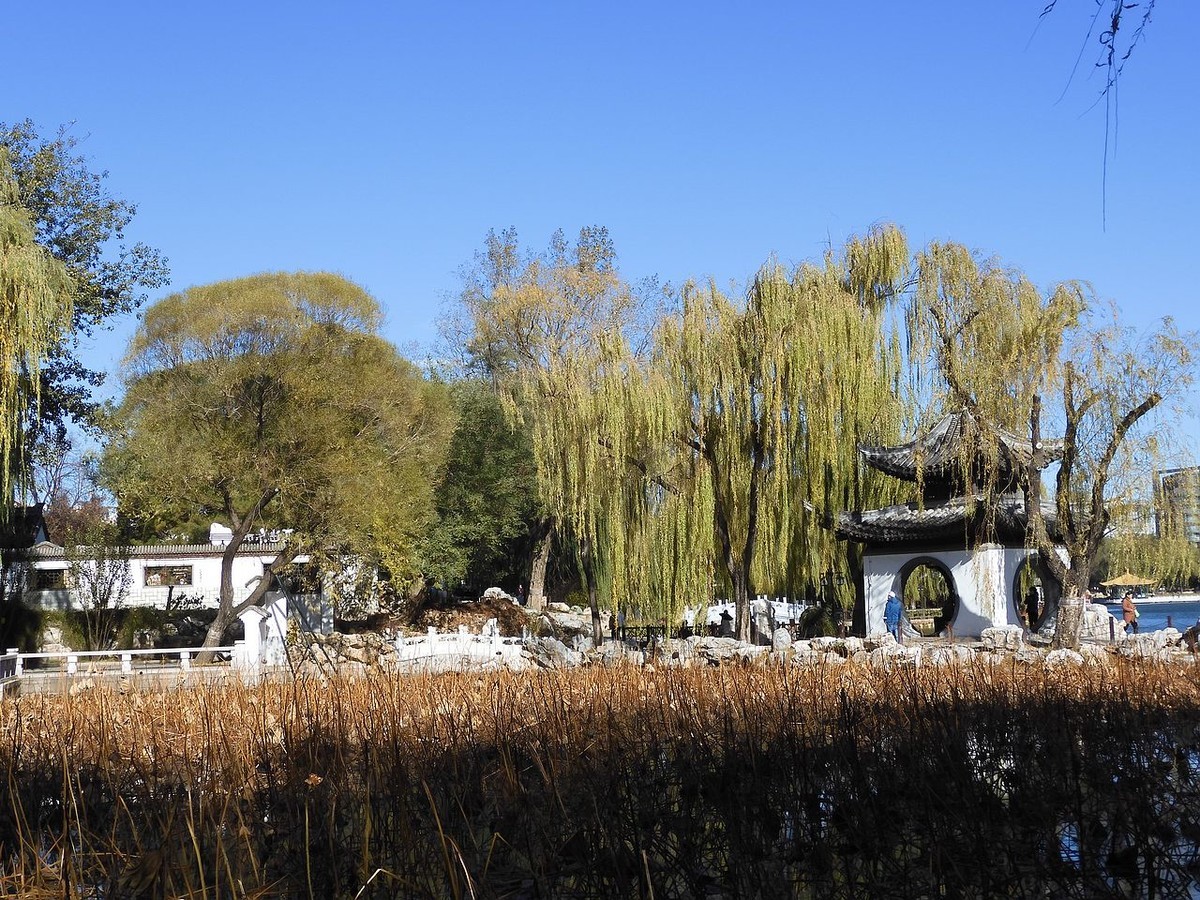 北京陶然亭公园-----秋 色