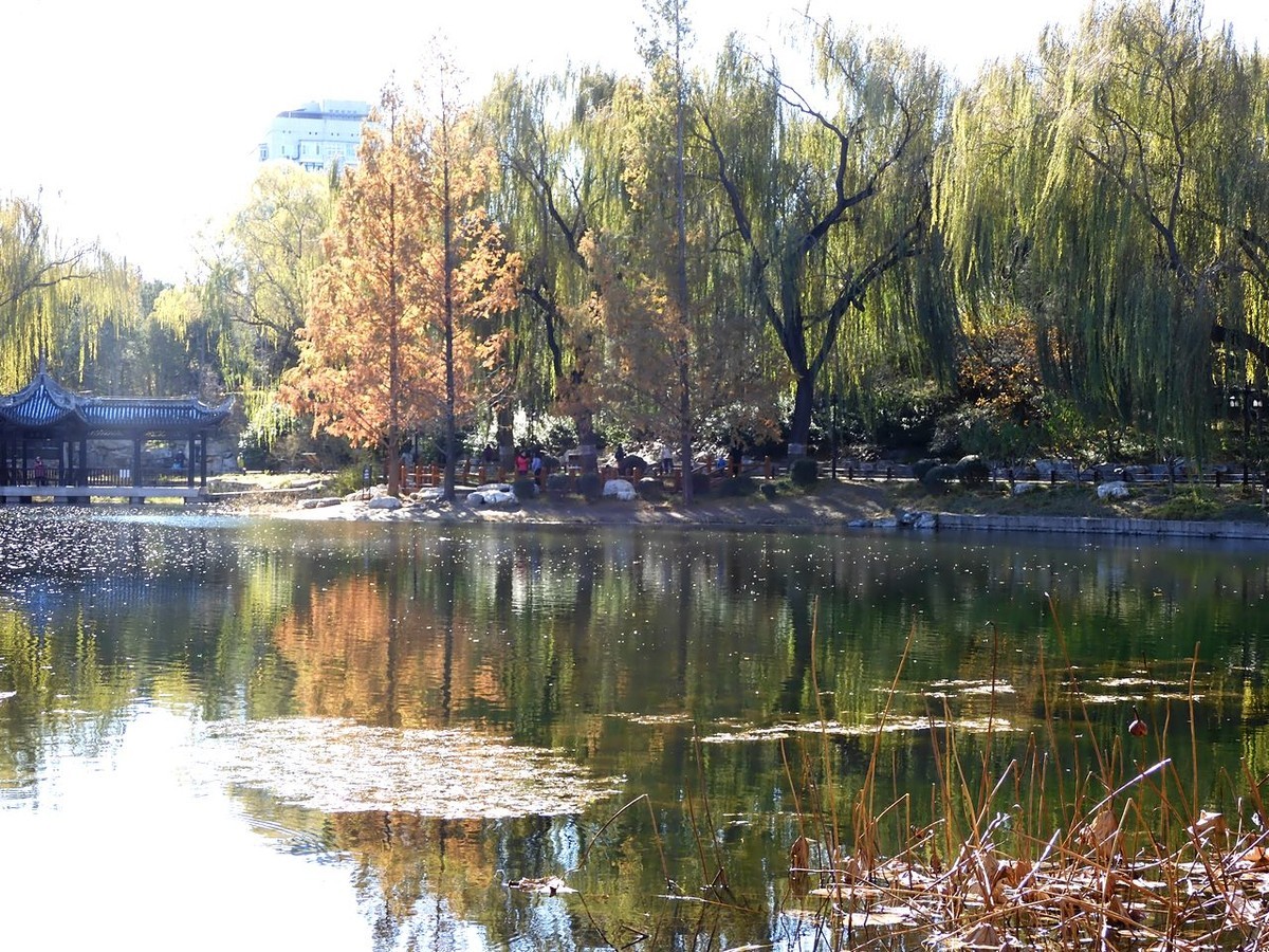 北京陶然亭公园-----秋 色