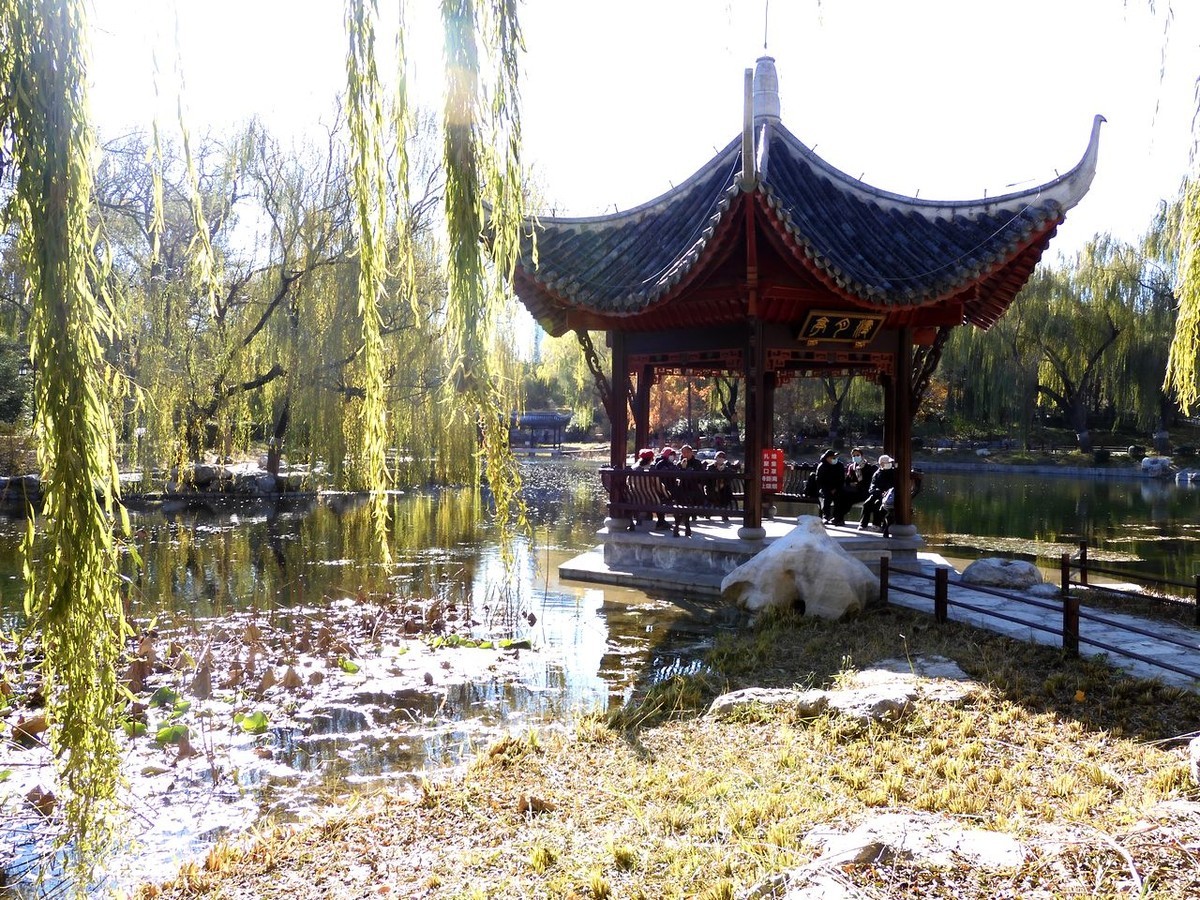 北京陶然亭公园-----秋 色