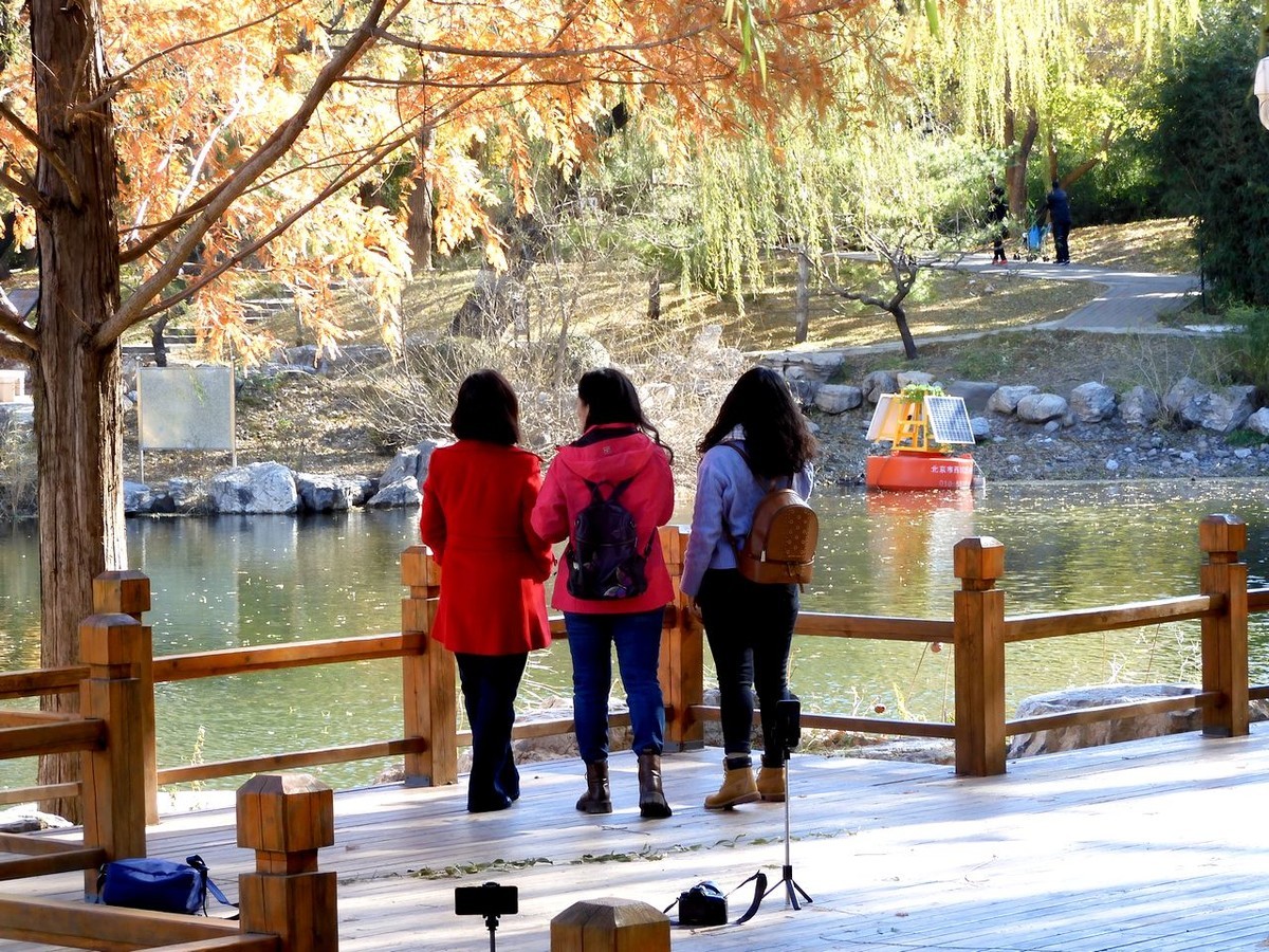 北京陶然亭公园-----秋 色