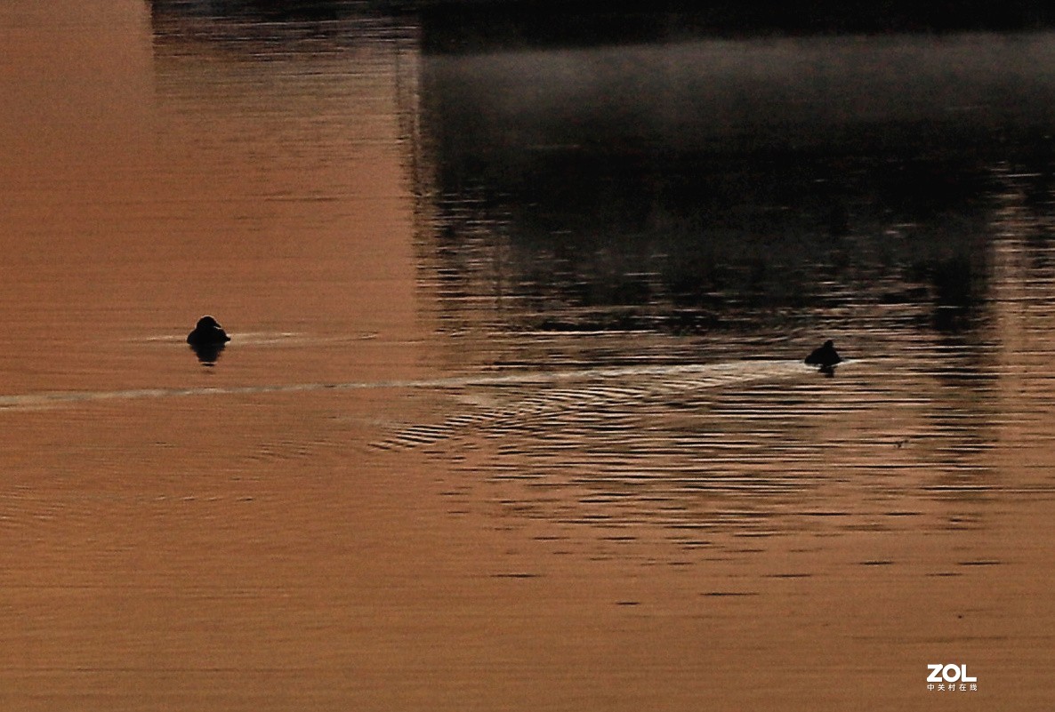 环城水系中山路口湿地日出（两次拍的）