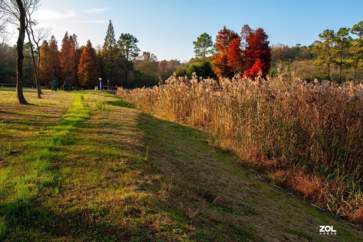 吳京戰狼1取景地南京六合平山森林公園