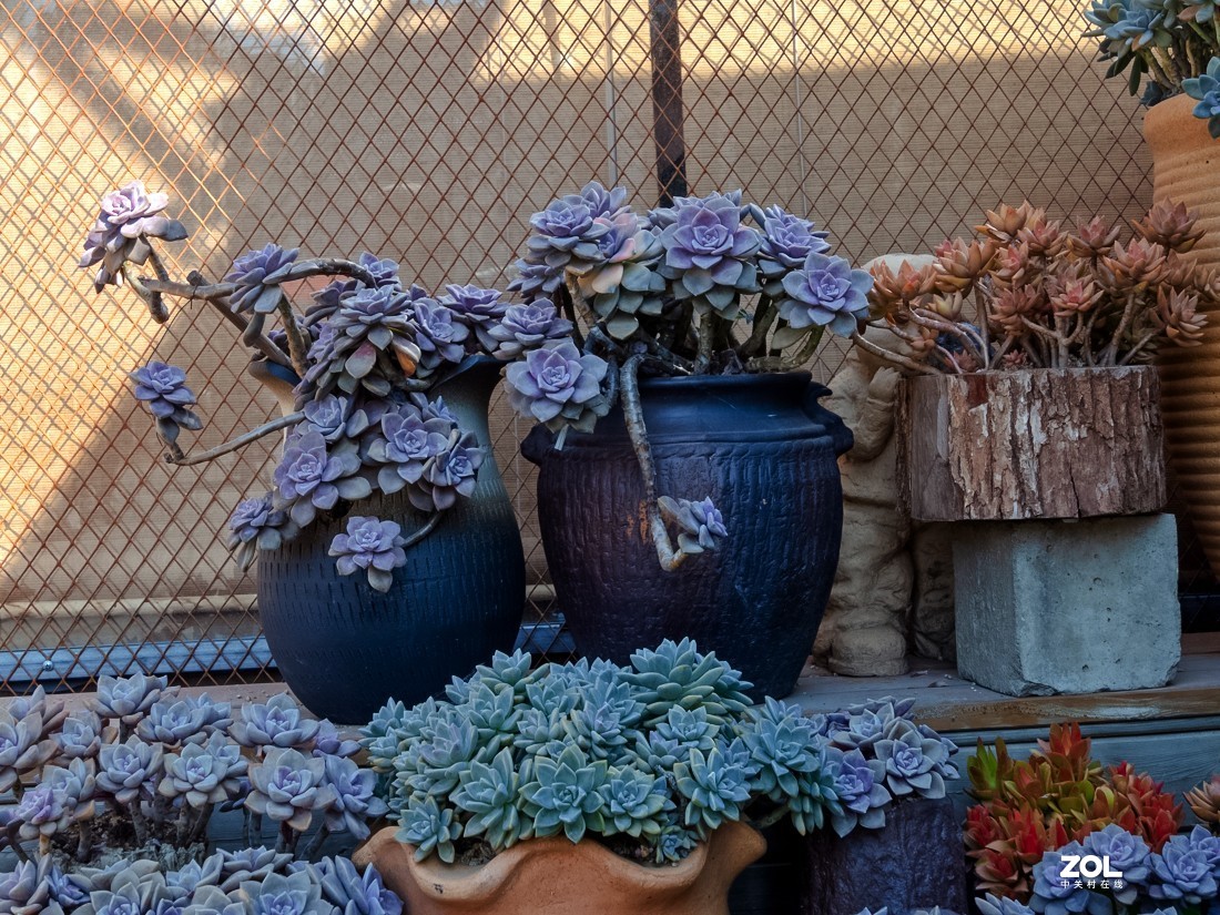 人家摆放得密密匝匝