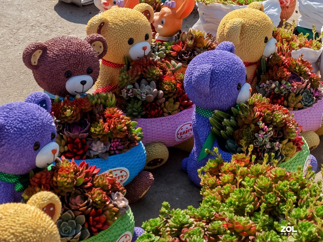 人家摆放得密密匝匝