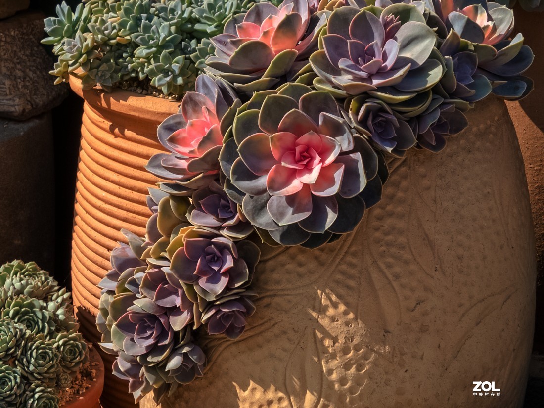 人家摆放得密密匝匝