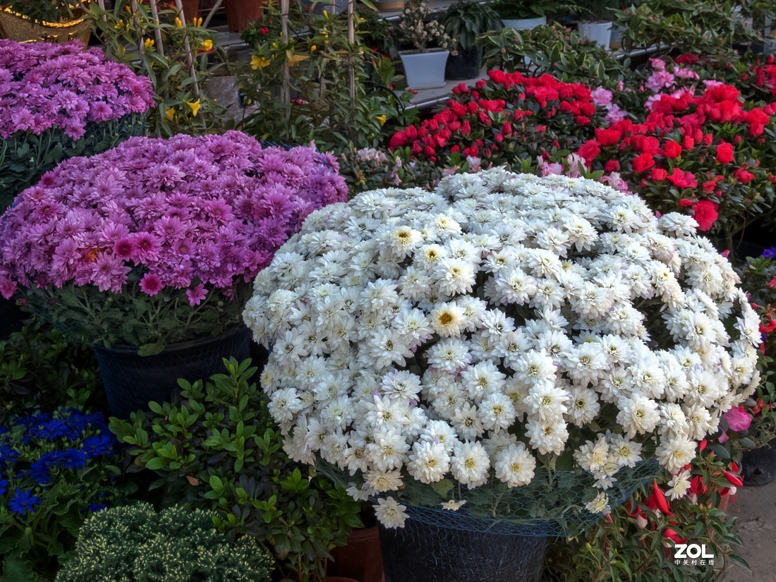 人家摆放得密密匝匝