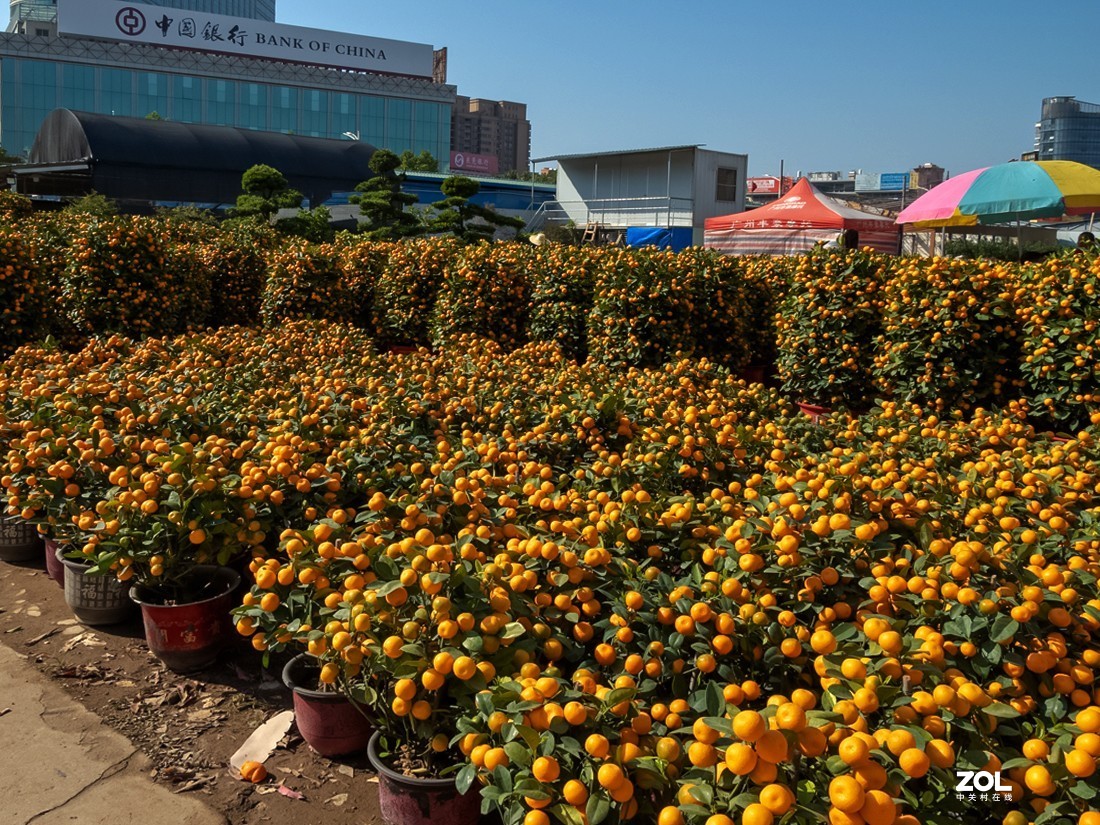 人家摆放得密密匝匝