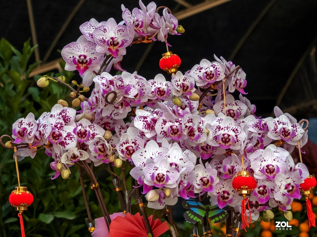 人家摆放得密密匝匝