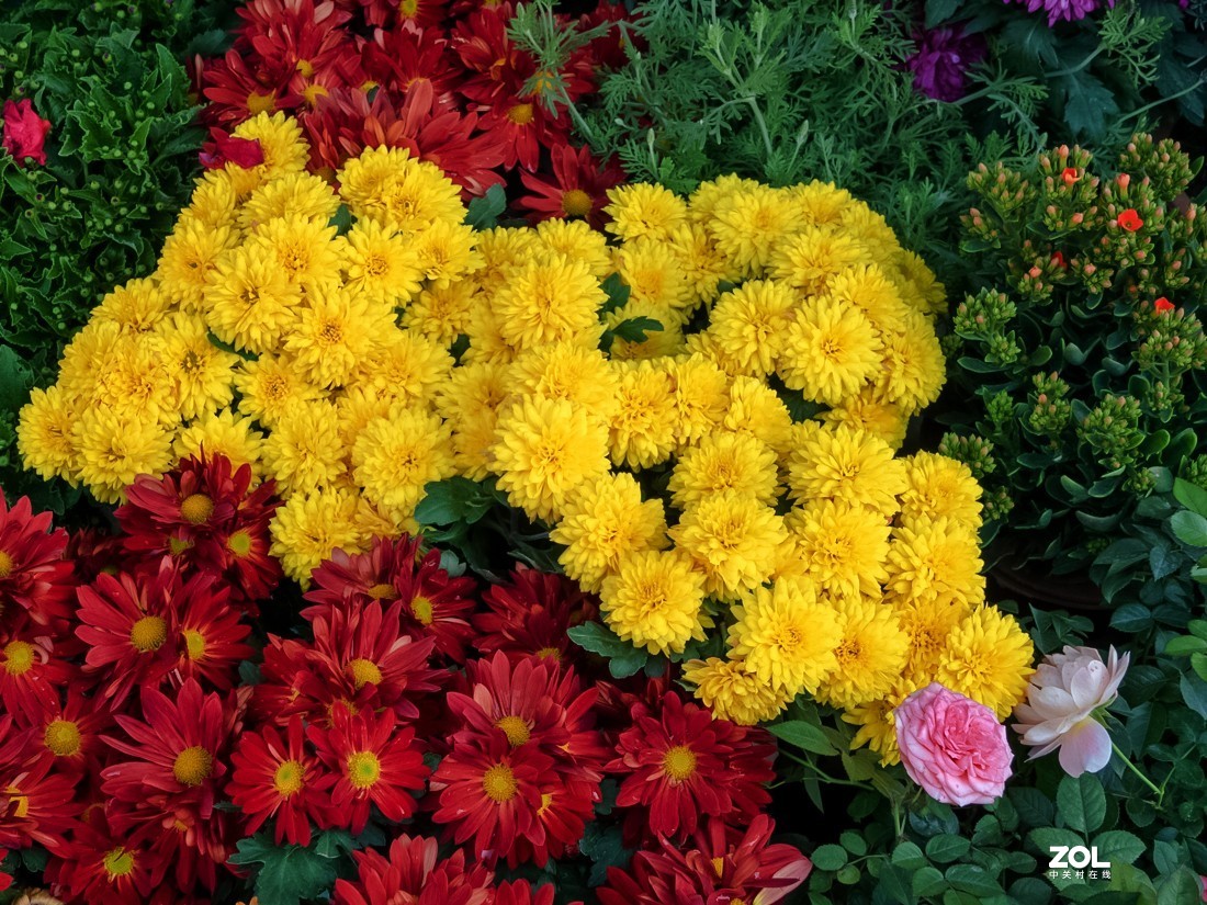 人家摆放得密密匝匝