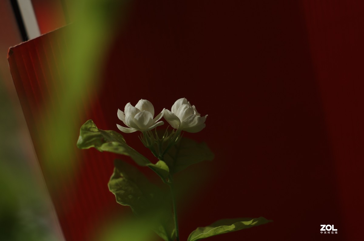 太苦玛S-M-C 55/1.8直出片！