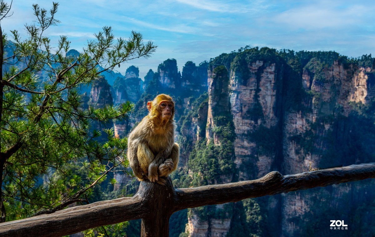 天人合一张家界