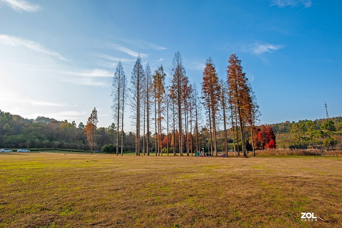 吳京戰狼1取景地南京六合平山森林公園