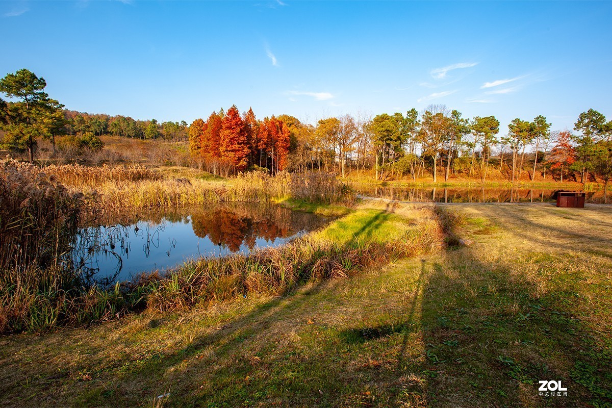 吳京戰狼1取景地南京六合平山森林公園