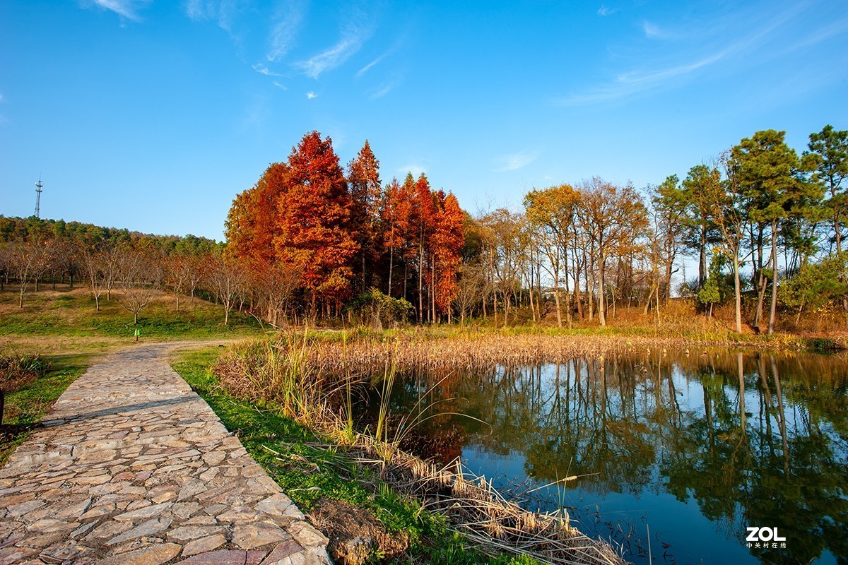 吳京戰狼1取景地南京六合平山森林公園