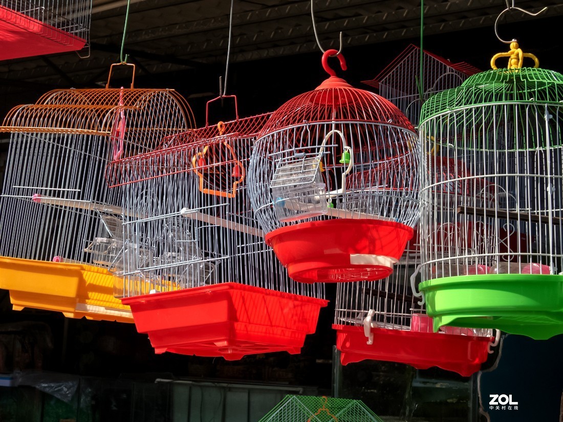 人家摆放得密密匝匝